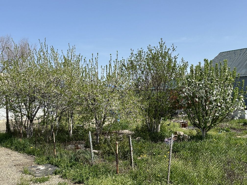 Продается дом в городе Кандыагаш