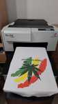 Imprimanta tricouri DTG Polyprint TexJet Echo (stare foarte buna)