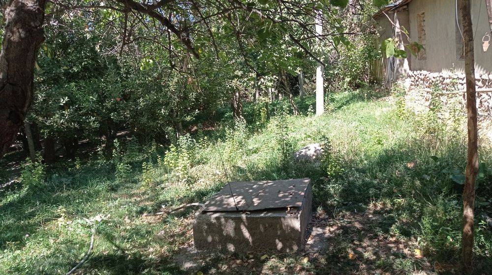 Kumushkonda yer sotiladi