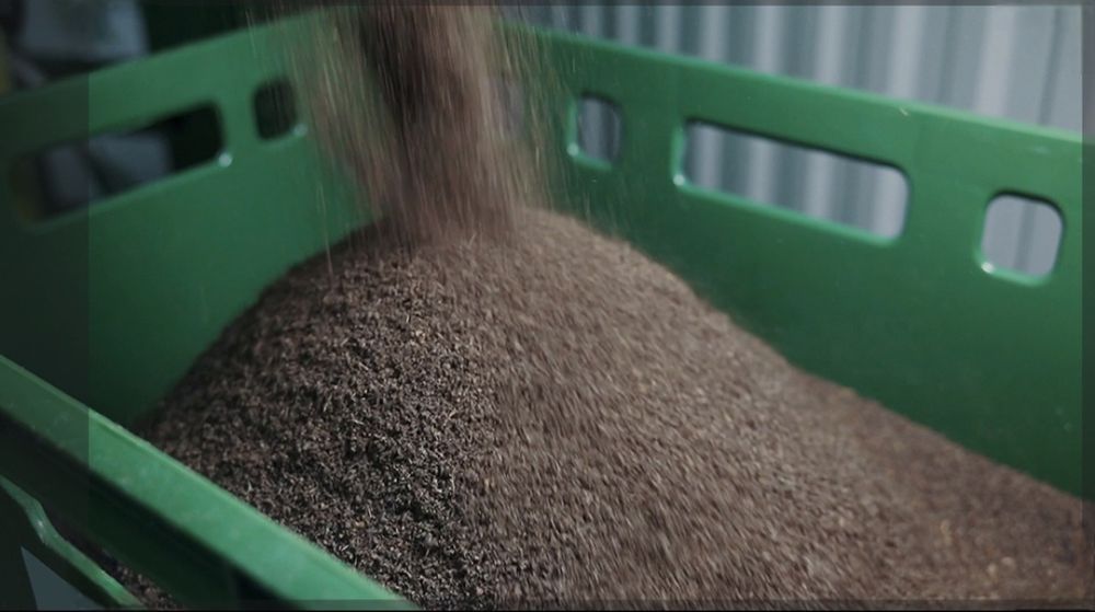 Продаётся зоогумус чёрной львинки!