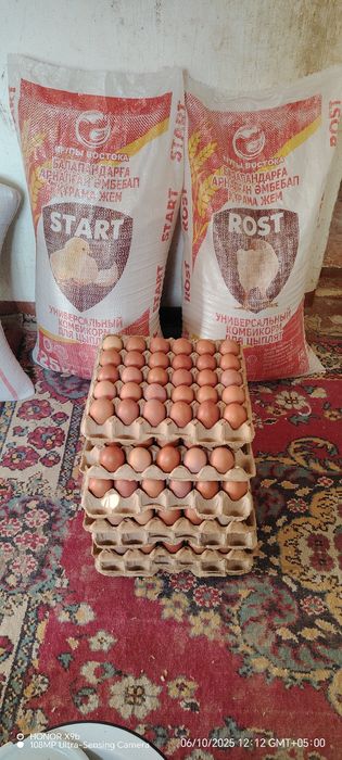 Домашний тауык жумырткасы сатылады