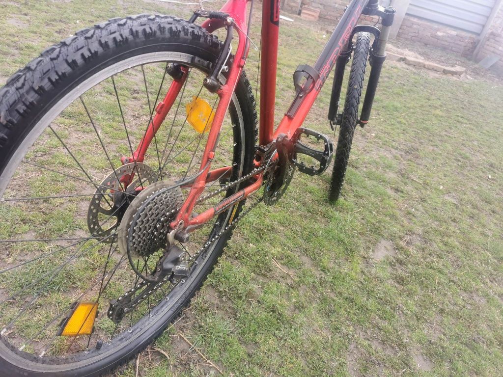 Bicicletă Trek Adulți