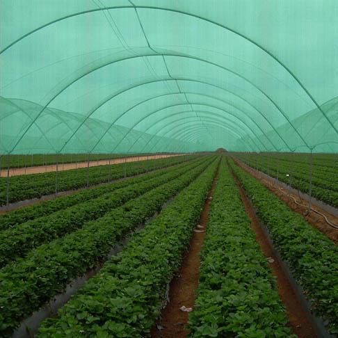 Plasă de Umbrire GeoSol 45%, diferite dimensiuni.