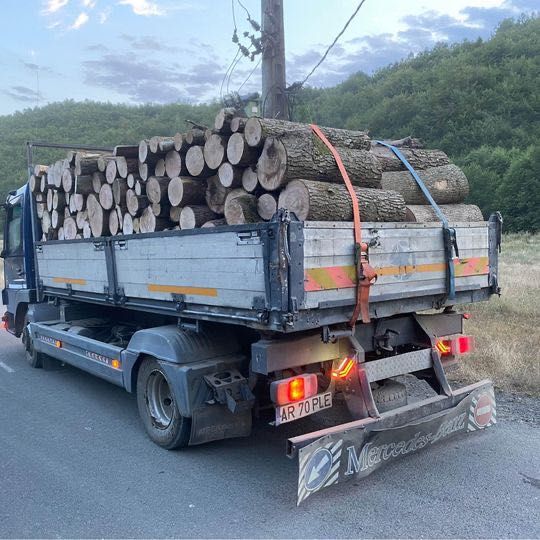 Lemn de foc esenta tare fag, carpen, stejar, cer, salcâm