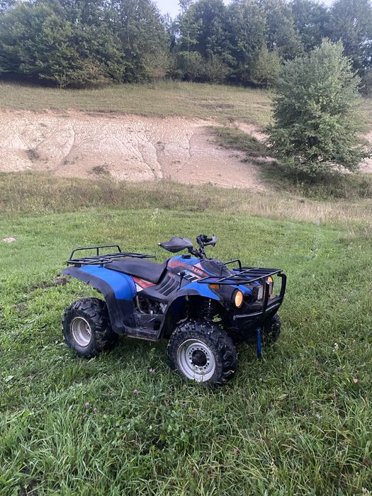 Vand schimb ATV Linhai 300 cu gip