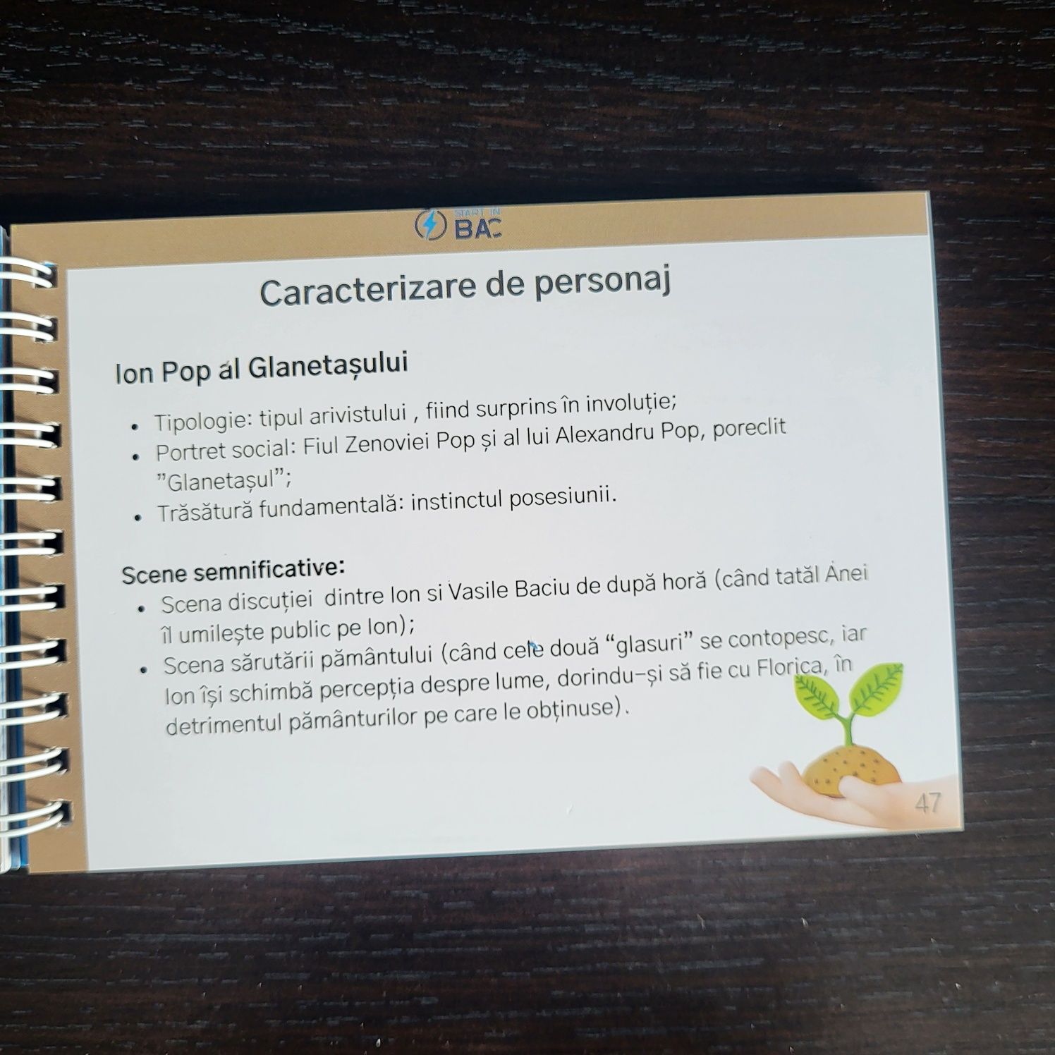 Start in BAC Romana FlashCards