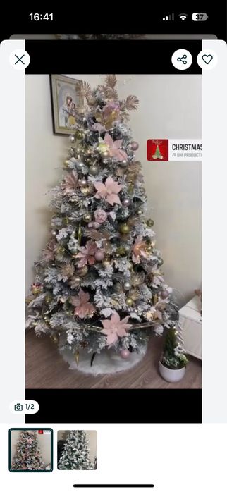 Brad inzapezit cu conuri!2.1 m