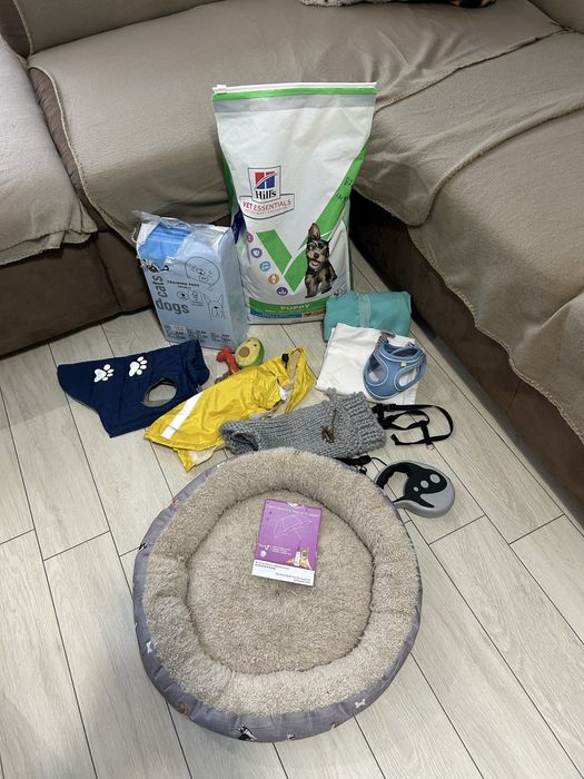 Йоргширски териер мъжки