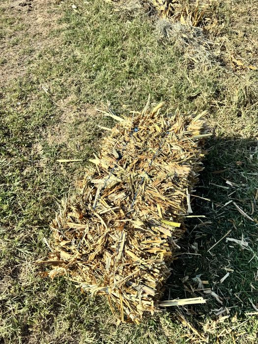 Vand baloti coceni 2025