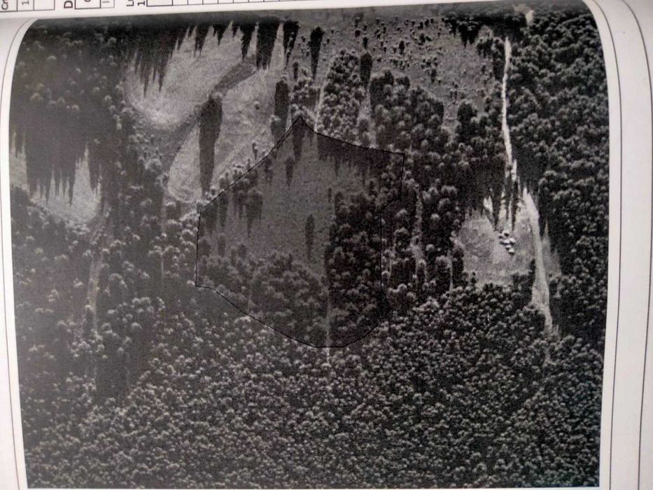 Teren Intravilan Marisel  - ideal pentru cabane sau glamping