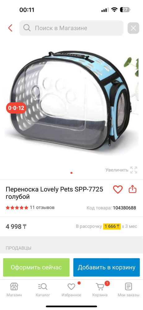 шотландский прямоухий кот