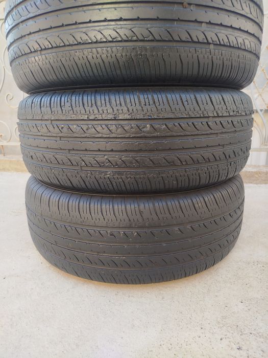 205 65 R15 Shina Kapsen