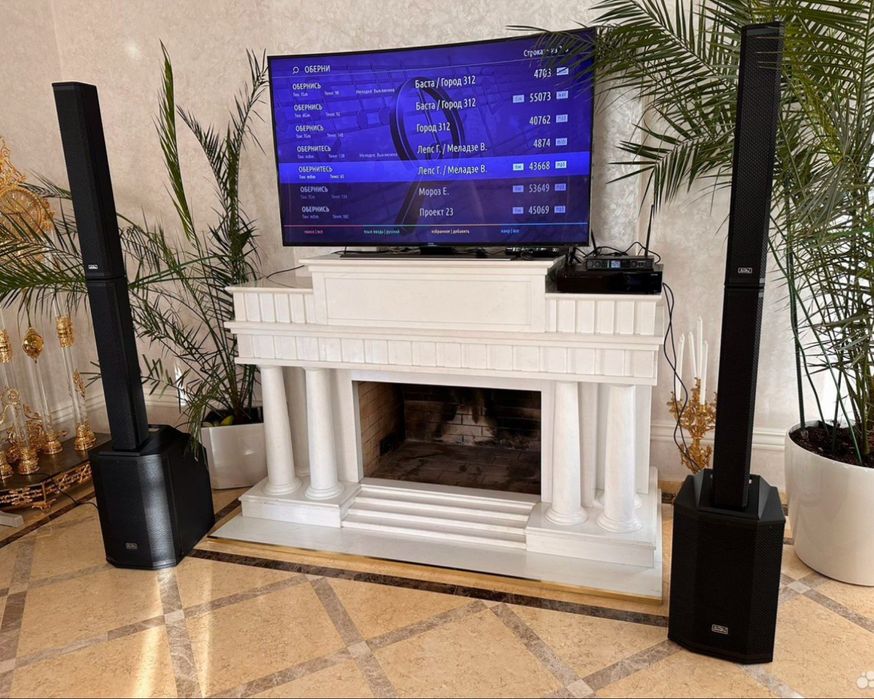 Отличный подарок на новый год это Караоке