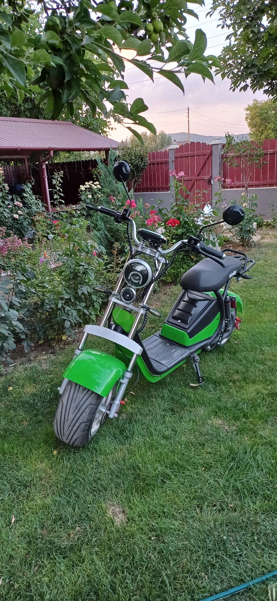 Scuter electric ca nou.