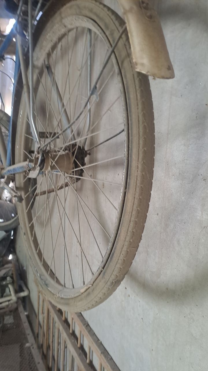 Velosibed Satiladi