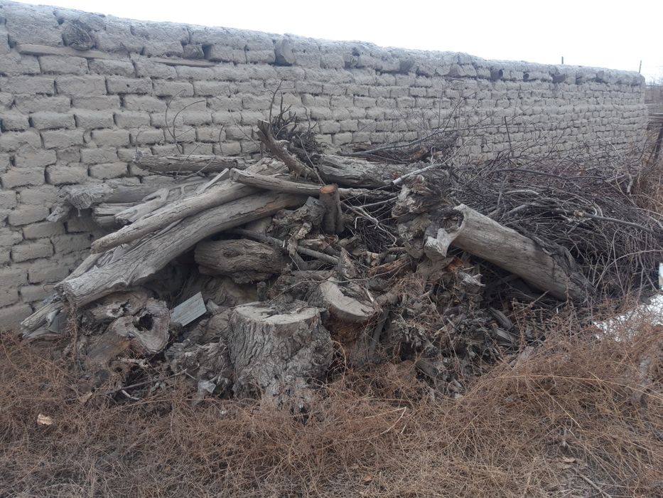 Karmana.Òtinlar sotiladi 2mln