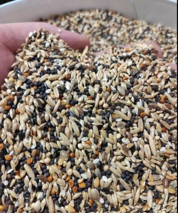 Корм для канарейк и диких птиц