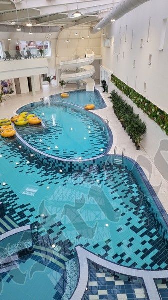 Cabană Băile Figa Beclean Cabana Lotus