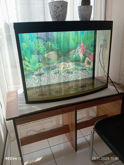 Продоетса аквариум