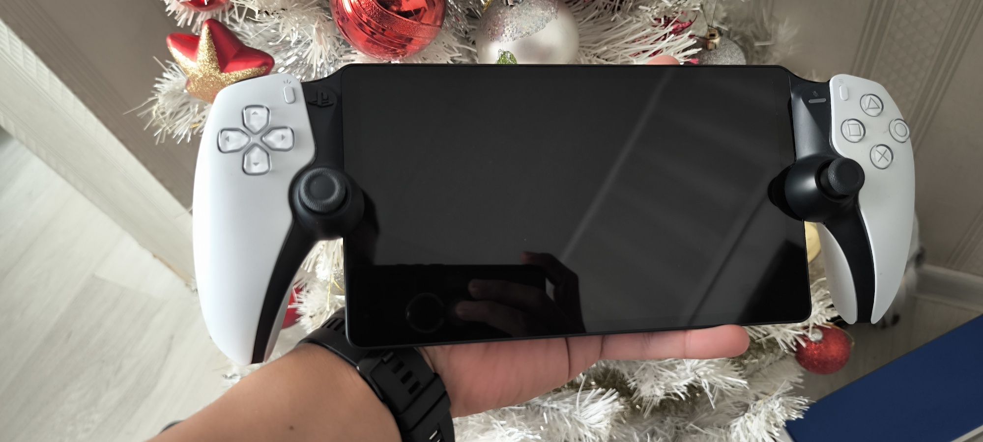 PlayStation portable