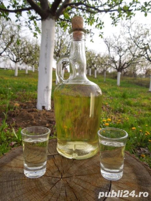 Prune de vanzare pentru preparare tuica palinca