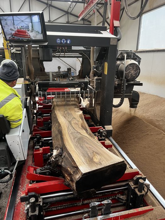 Cherestea bustean nuc