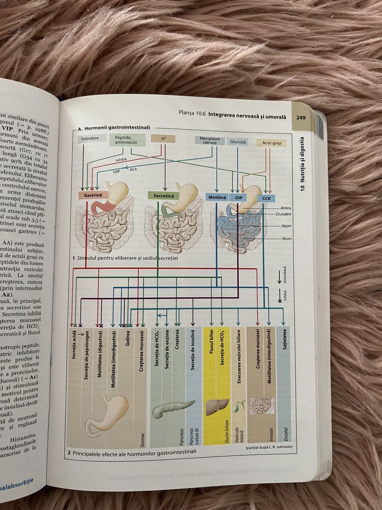 Fiziologie a omului. Atlas color - Stefan Silbernagl