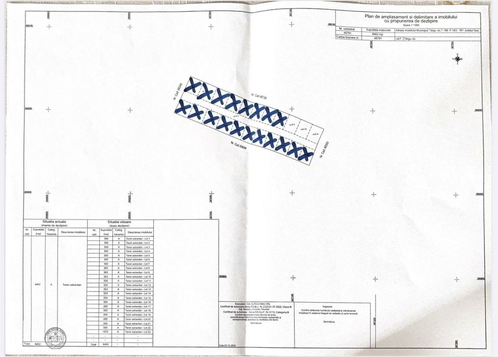 Loturi teren Narcise Tg-Jiu