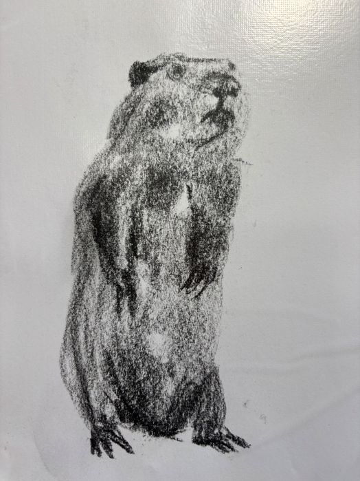 Скици с въглен 106 броя