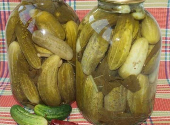 Продам   маринованые огурцы .