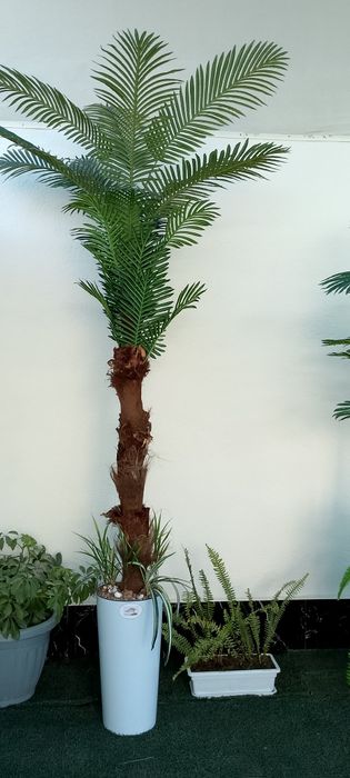 Искусственные деревья и растения. Суний гуллар ва дарахтлар. Цветы