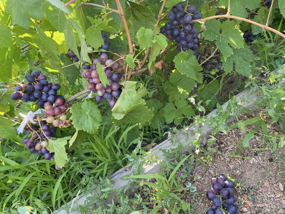 Продаётся Дача