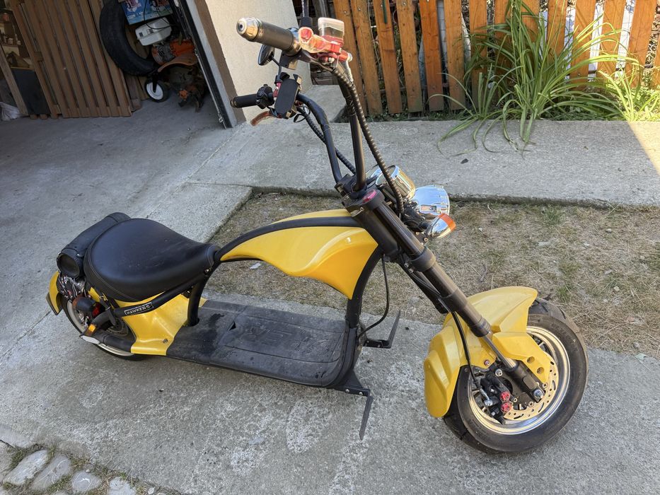 Scuter electric chopper