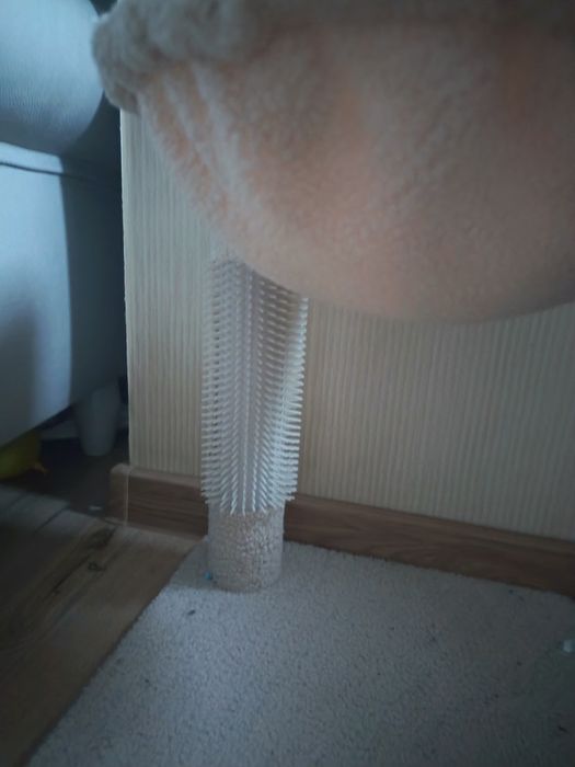 Asamblu pentru pisici