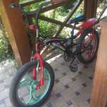 velik holati taxw