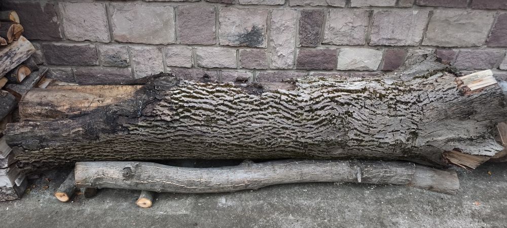 Продавам орехови трупи