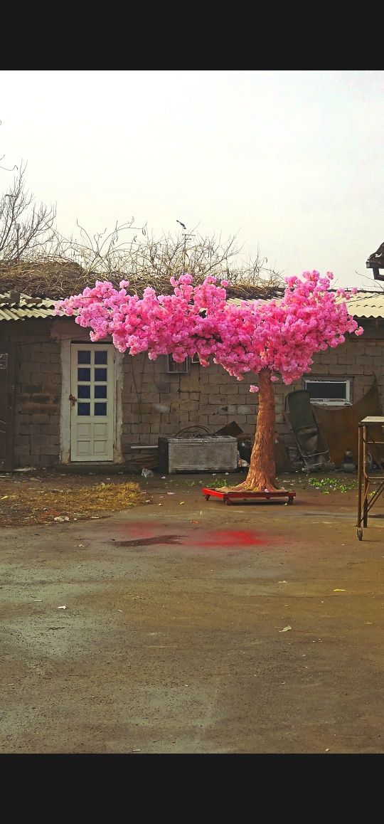 Дерева сакура yasab beramiz