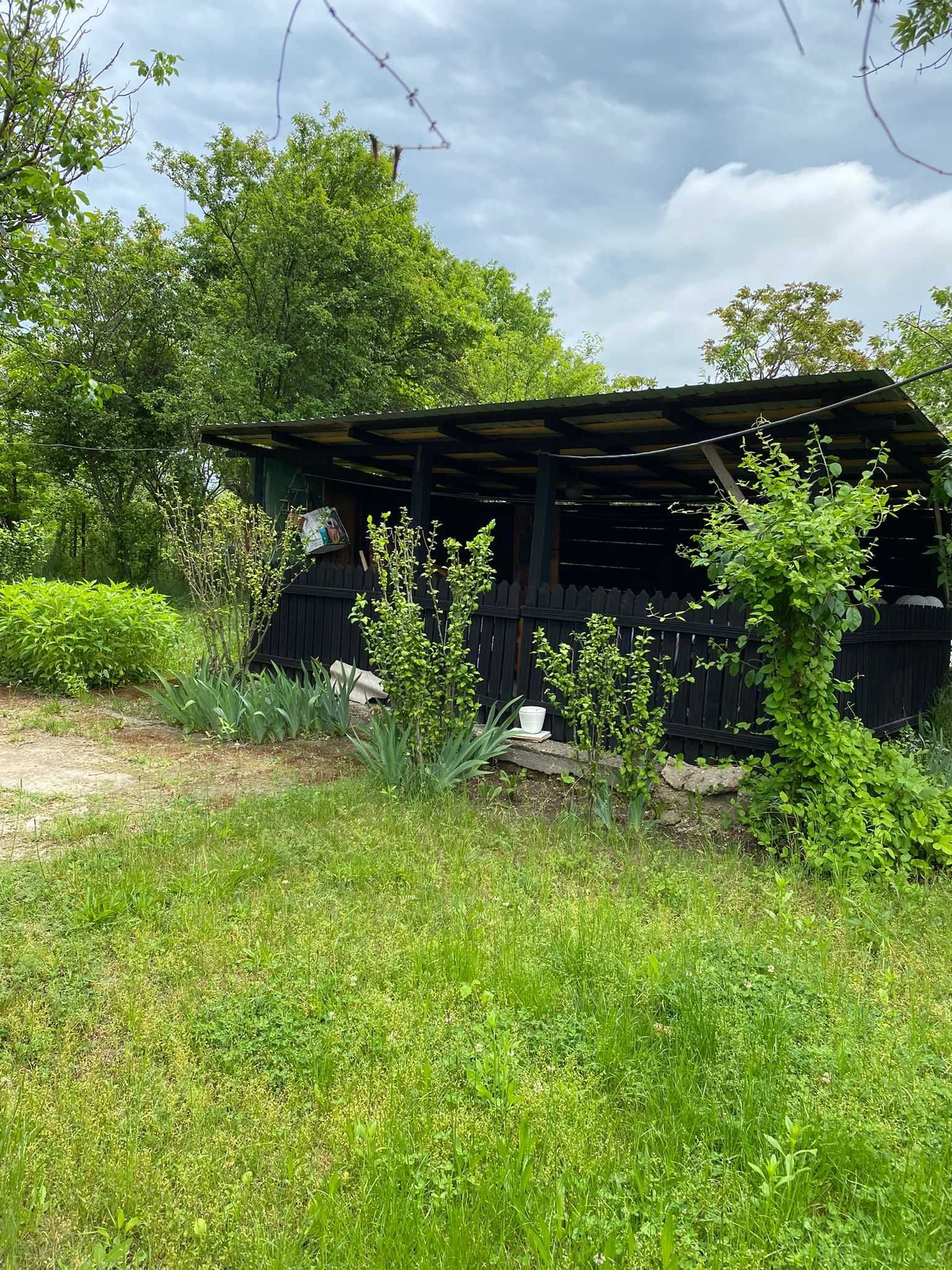 Casă cu Curte Generoasă 2400mp în Obedeni,ComunaBucșani Gata de Locuit