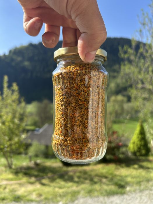 Polen crud de la munte