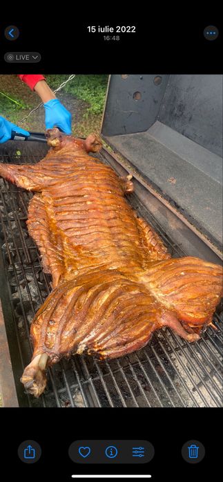 Grill pentru porci ,gratare