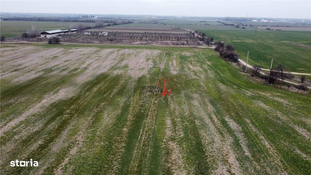 Teren extravilan 5.800 mp in Cornetu, ideal pentru investitie