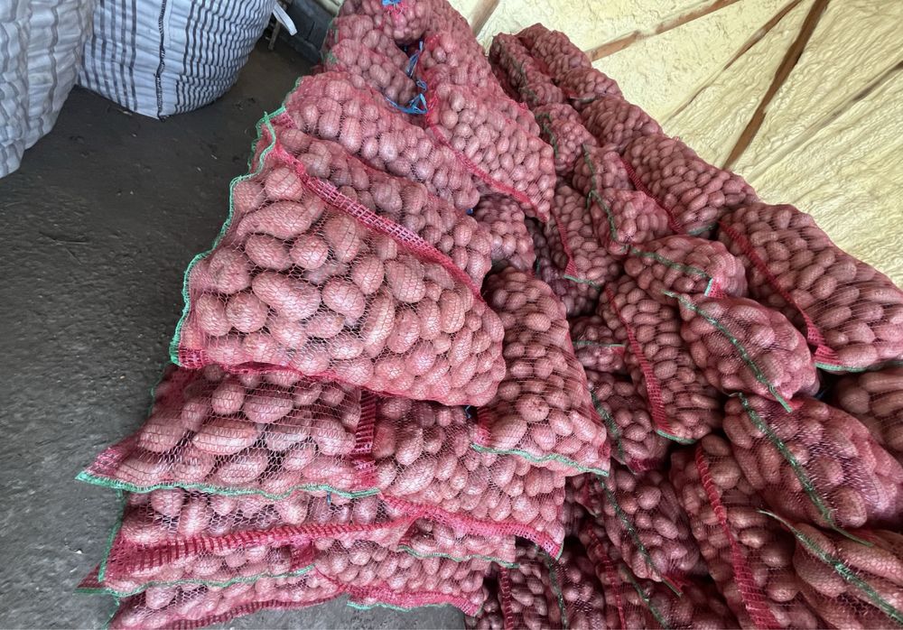 Cartofii consum roșu și alb