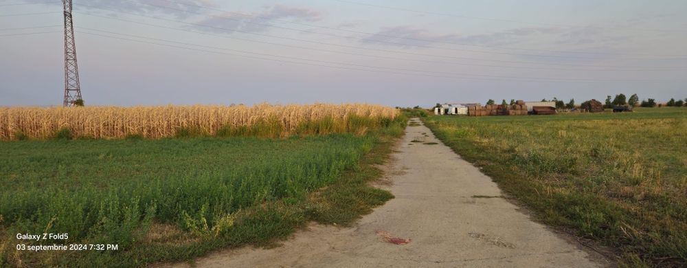 Teren intravilan Izvoare, Neamt.