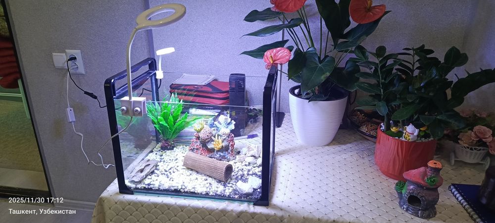 Аквариум 20 литрлик