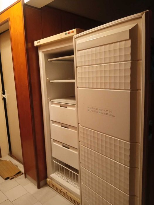 Продавам голям вертикален фризер Зануси