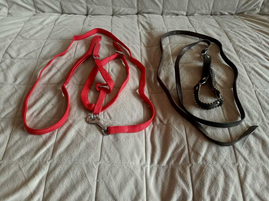 Поводок для кошки или маленькой собачки