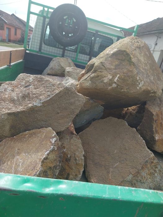 Vand bolovani ornamentali