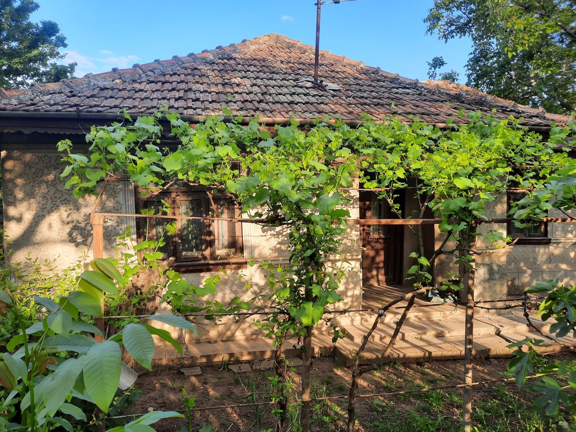Casa batraneasca cu 2000 mp. in satul Ion Roata