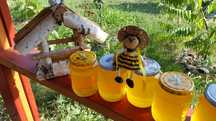 Miere de albine BIO naturala 100% SALCAM Tei polen productie proprie