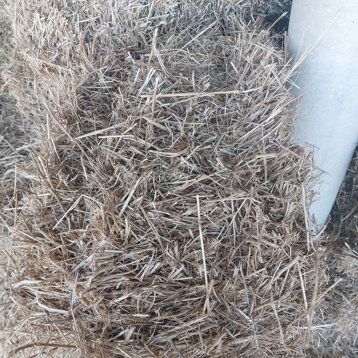 Продаётся  соевая салома